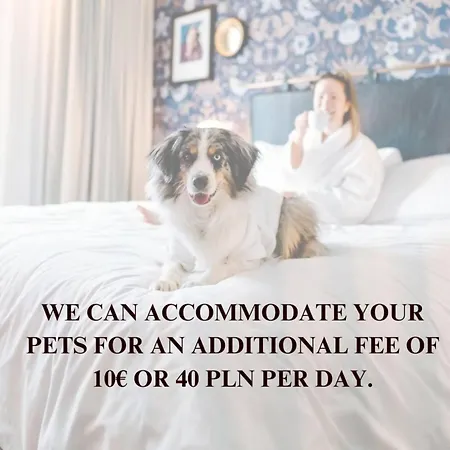 Villa Lumina Amazing House In *