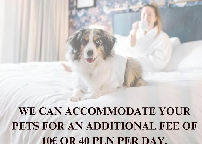 ヴィラ Lumina Amazing House In *